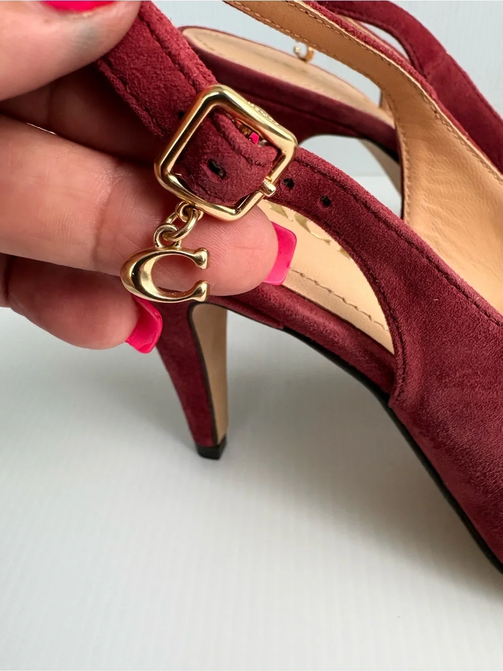 Coach size raspberry